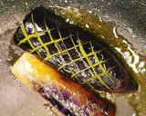 めんつゆで簡単！菜の花となすの焼きびたし作り方3写真