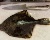 砂カレイのフライ作り方1写真