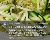 もやしときゅうりのナムル作り方11写真