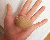 癖になる！HBでモチモチ食パン(一斤)作り方1写真