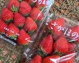 ホワイトチョコいちご＆いちごカナッペ風作り方1写真