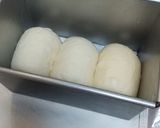 レーズン酵母 天然酵母食パン作り方13写真