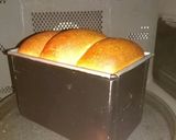 レーズン酵母 天然酵母食パン作り方15写真