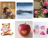 菜の花のおろし和え作り方4写真