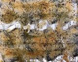アジの香草パン粉焼きガーリックチーズ風味作り方8写真
