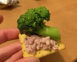 台所ペンギンの原木生ハムペースト作り方6写真