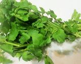 春の野草、下処理~保存作り方3写真