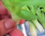春の野草、下処理~保存作り方9写真