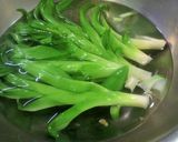 春の野草、下処理~保存作り方10写真