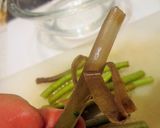 春の野草の下処理②作り方9写真