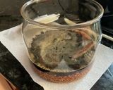ヨーグルトメーカーで作る醤油麹作り方2写真