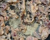 レンジ時短で簡単！大根とナスの煮物作り方4写真