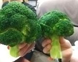 まるごとブロッコリー♪作り方4写真