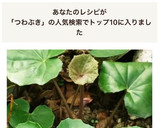 TOP10入つわぶき 皮の剥き方　下処理作り方1写真