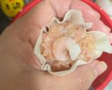 甘えびシュウマイ作り方4写真