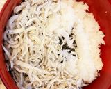 釜揚げしらす丼作り方3写真