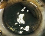 あさりの酒蒸し作り方1写真