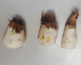 里芋の皮剥きのコツと、お好み焼き作り方3写真