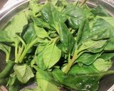 春の野草、下処理~保存作り方11写真