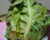 ほうれん草のヒートショック作り方5写真