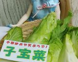リカちゃん♡子宝菜たけのこ中華炒めꕤ*｡作り方1写真