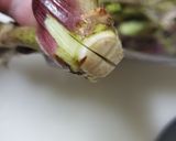 たらの芽の天ぷら、下処理作り方2写真