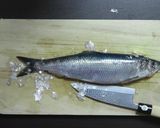 新鮮！おいしい！ にしんの刺身＆寿司作り方1写真