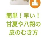 簡単!早い!甘夏や八朔の皮のむき方作り方14写真