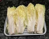 塩レモン入り白菜の漬物作り方1写真