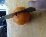 甘夏の発酵シロップ作り方3写真