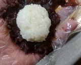 塩あんこ…ぼた餅(おはぎ)作り方9写真