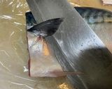 元魚屋が教える！絶品鯖カツ作り方6写真