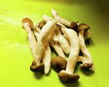 味付けは白だしだけ！簡単・小松菜の煮浸し作り方4写真