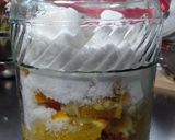 甘夏の発酵シロップ作り方10写真