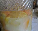 甘夏の発酵シロップ作り方14写真