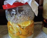 甘夏の発酵シロップ作り方15写真
