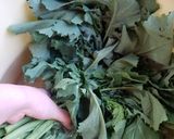 からし菜漬物作り方1写真