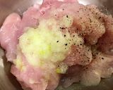 春キャベツと柔らか鶏胸肉の回鍋肉風作り方1写真