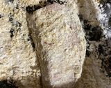 鮭の竜田揚げ 簡単作り方4写真