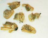 超簡単！関西風かに玉！！天津飯にも！作り方2写真
