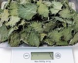 大葉乾燥オイル保存作り方8写真