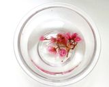 火を使わず♡花咲く桜ゼリー&パンナコッタ作り方1写真