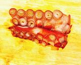 【炙り】水蛸の刺身【ミズダコ】作り方1写真