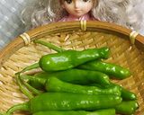 リカちゃん♡味染み鶏そぼろ甘ししとう作り方1写真