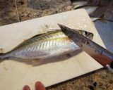 鯵のさばき方(干物作り)作り方1写真