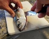 鯵のさばき方(干物作り)作り方5写真