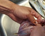 鯵のさばき方(干物作り)作り方7写真
