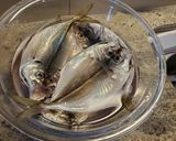 鯵のさばき方(干物作り)作り方9写真