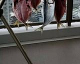 鯵のさばき方(干物作り)作り方11写真