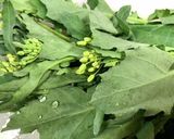 ウドとのらぼう菜のバター醤油炒め作り方2写真